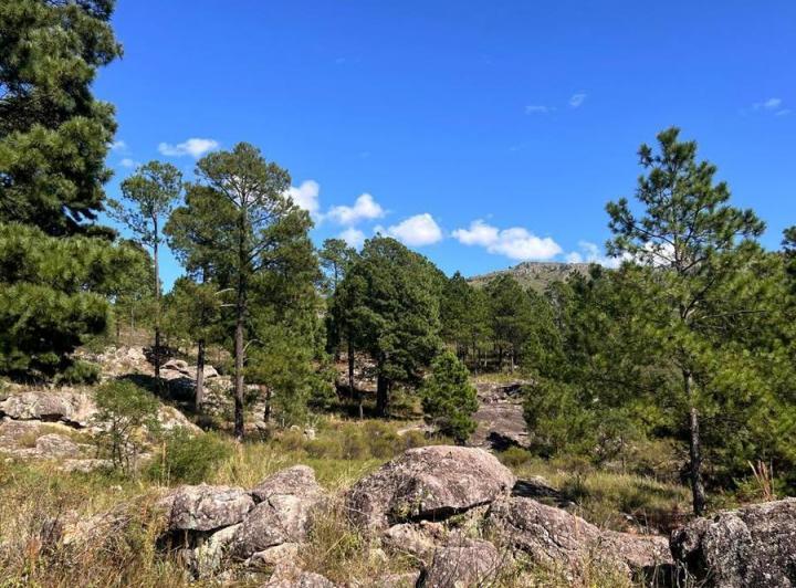 Lote en San Clemente, Córdoba — SAN Clemente Mza 17 Lote Valle de Paravachasca, Dpto Santa María, Córdoba, Argentina — Venta, foto 6 de 8