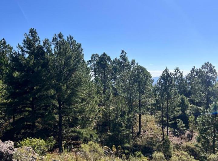 Lote en San Clemente, Córdoba — SAN Clemente Mza 17 Lote Valle de Paravachasca, Dpto Santa María, Córdoba, Argentina — Venta, foto 8 de 8