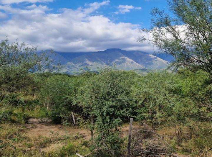 Lote en Los Pozos — Terrenos Buena Ubicacion Y Hermosas Vistas A LAS Sierras !! LOS Pozos VA. DE LAS Rosas Traslasierra!! — Venta, foto 1 de 8