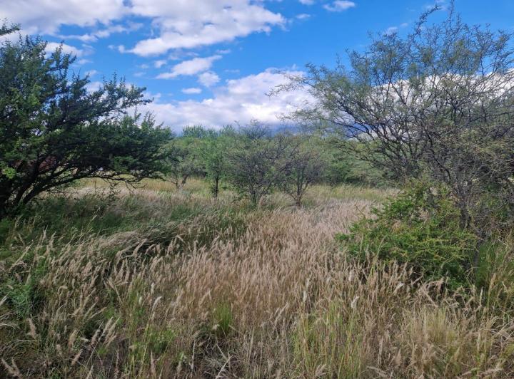 Lote en Los Pozos — Terrenos Buena Ubicacion Y Hermosas Vistas A LAS Sierras !! LOS Pozos VA. DE LAS Rosas Traslasierra!! — Venta, foto 2 de 8