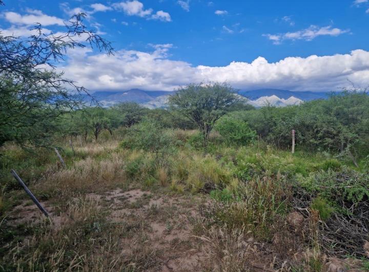 Lote en Los Pozos — Terrenos Buena Ubicacion Y Hermosas Vistas A LAS Sierras !! LOS Pozos VA. DE LAS Rosas Traslasierra!! — Venta, foto 4 de 8