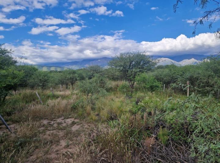 Lote en Los Pozos — Terrenos Buena Ubicacion Y Hermosas Vistas A LAS Sierras !! LOS Pozos VA. DE LAS Rosas Traslasierra!! — Venta, foto 6 de 8