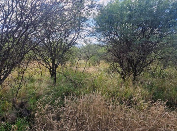 Lote en Los Pozos — Terrenos Buena Ubicacion Y Hermosas Vistas A LAS Sierras !! LOS Pozos VA. DE LAS Rosas Traslasierra!! — Venta, foto 7 de 8