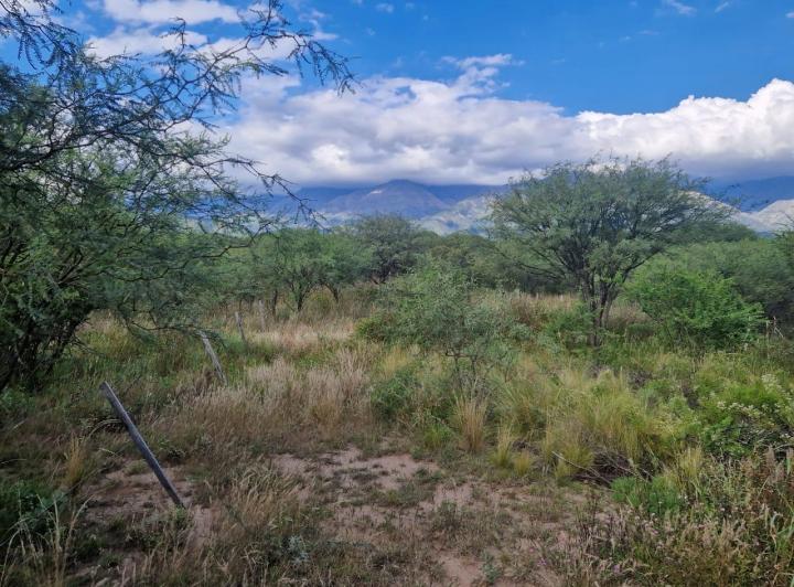 Lote en Los Pozos — Terrenos Buena Ubicacion Y Hermosas Vistas A LAS Sierras !! LOS Pozos VA. DE LAS Rosas Traslasierra!! — Venta, foto 8 de 8