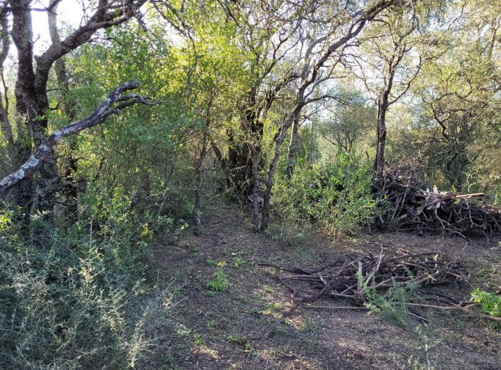 Lote en La Aguadita, Villa de Las Rosas — La Aguadita Villa de las Rosas — Venta, foto 4 de 8