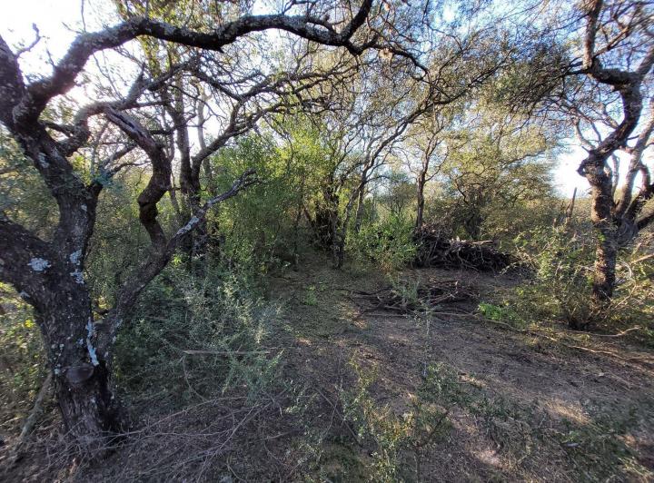Lote en La Aguadita, Villa de Las Rosas — La Aguadita Villa de las Rosas — Venta, foto 5 de 8