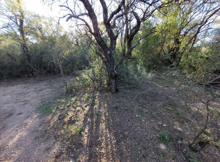 Lote en La Aguadita, Villa de Las Rosas — La Aguadita Villa de las Rosas — Venta, foto 6 de 8