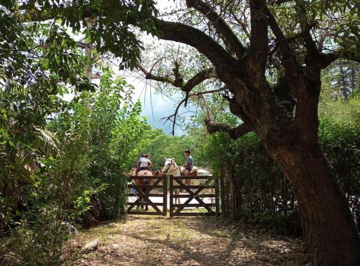 Casa 13 ambientes en La Población — Casa de Campo Antigua en Venta en Punto Estratégico en La Población,, Traslasierra!!! — Venta, foto 2 de 8