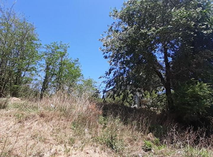 Lote en San Antonio de Arredondo — San Antonio de Arredondo. Cba — Venta, foto 4 de 8