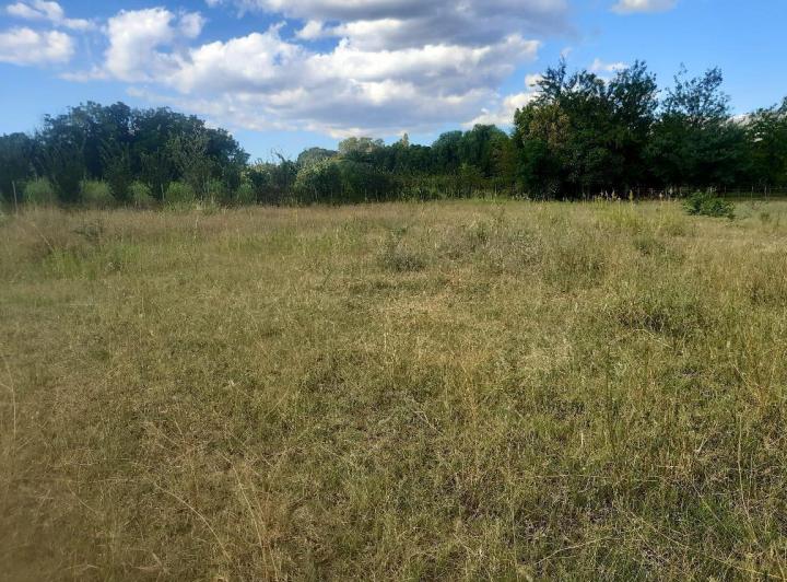 Lote en Venta en Las Tapias — Terreno en Venta en Las Tapias,,vistas,,traslasierras!!! — Venta, foto 3 de 8