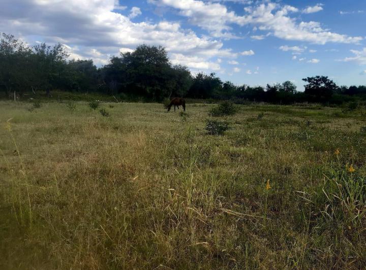Lote en Venta en Las Tapias — Terreno en Venta en Las Tapias,,vistas,,traslasierras!!! — Venta, foto 6 de 8