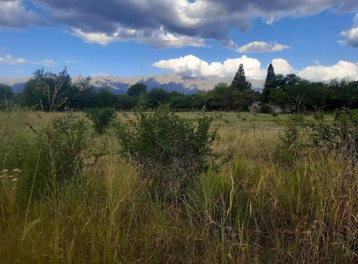 Lote en Venta en Las Tapias — Terreno en Venta en Las Tapias,,vistas,,traslasierras!!! — Venta, foto 7 de 8