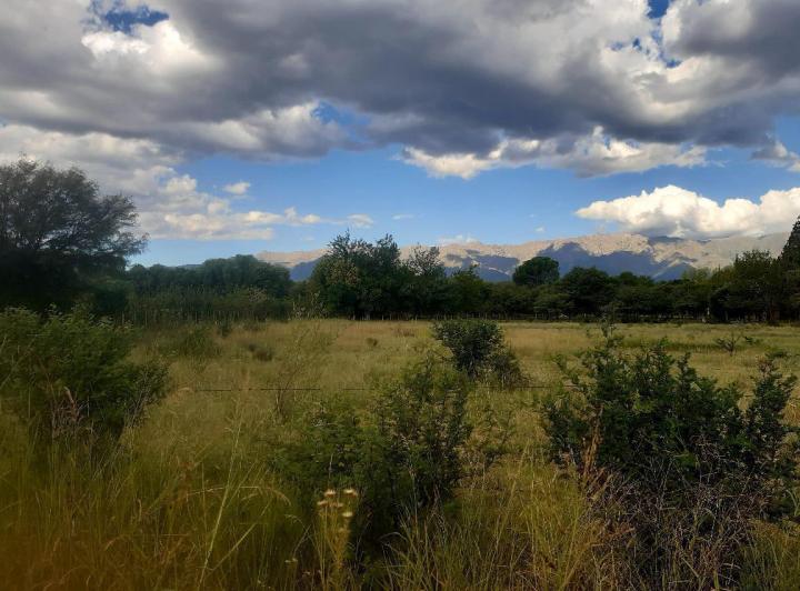 Lote en Venta en Las Tapias — Terreno en Venta en Las Tapias,,vistas,,traslasierras!!! — Venta, foto 8 de 8