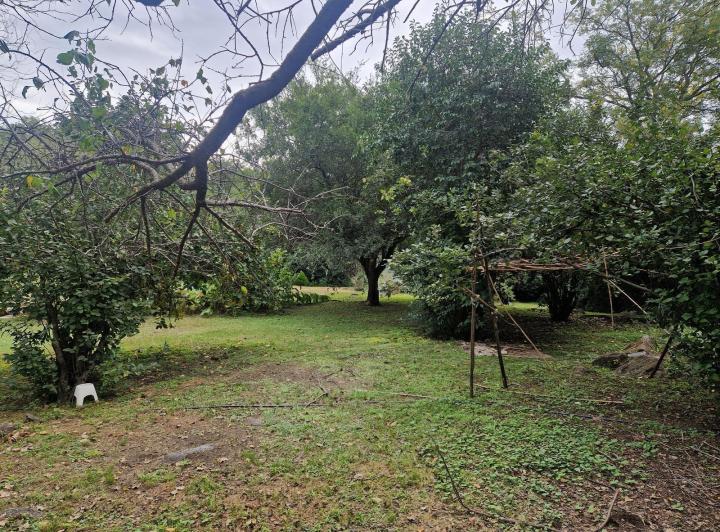 Casa 4 ambientes en San Javier — Casa en Venta Pileta, Arboles, Vistas, Arroyo, Ubicacion Ideal!! en San Javier,,traslasierra!! — Venta, foto 5 de 8