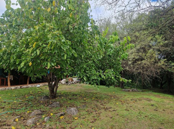 Casa 4 ambientes en San Javier — Casa en Venta Pileta, Arboles, Vistas, Arroyo, Ubicacion Ideal!! en San Javier,,traslasierra!! — Venta, foto 8 de 8