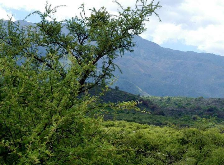 Lote en Achiras Arriba — En Venta en Achiras Arriba Terreno de 6.800 mts , San Javier Traslasierra!! — Venta, foto 5 de 8