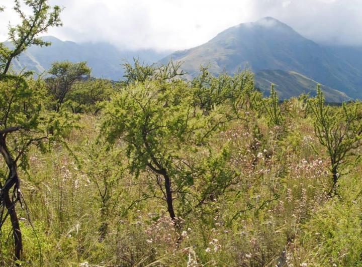 Lote en Achiras Arriba — En Venta en Achiras Arriba Terreno de 6.800 mts , San Javier Traslasierra!! — Venta, foto 6 de 8