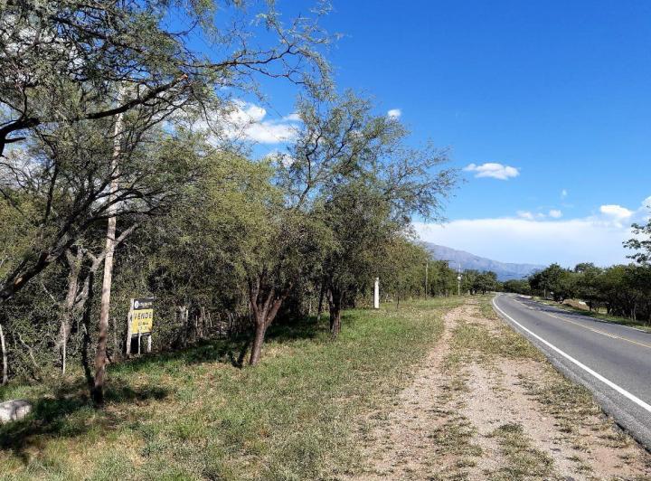 Campo en San Javier — Venta, foto 6 de 8