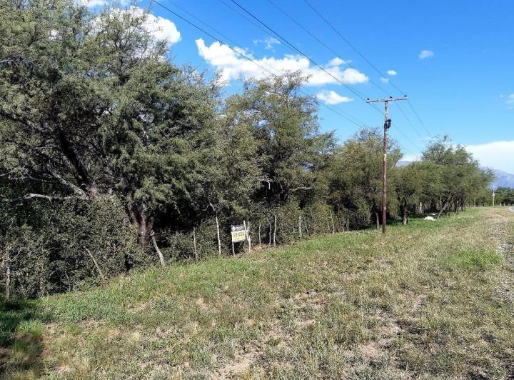 Campo en San Javier — Venta, foto 7 de 8