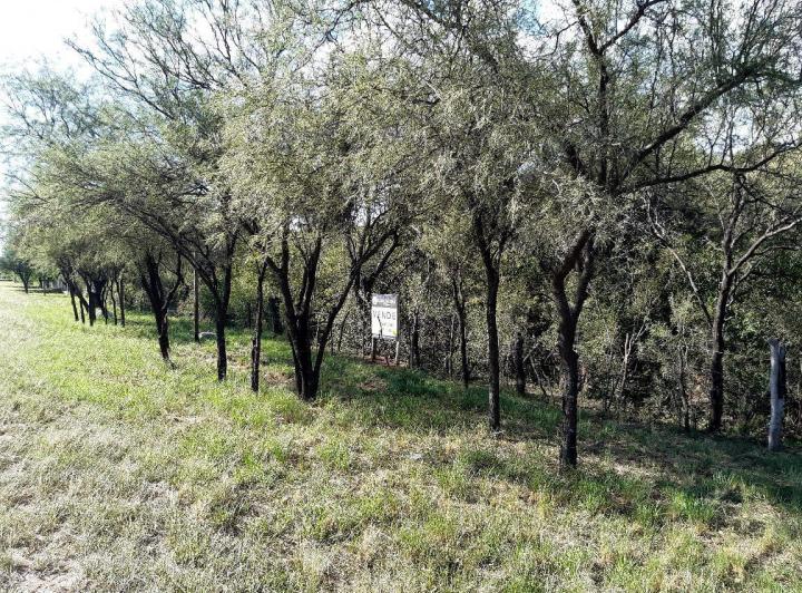 Campo en San Javier — Venta, foto 8 de 8