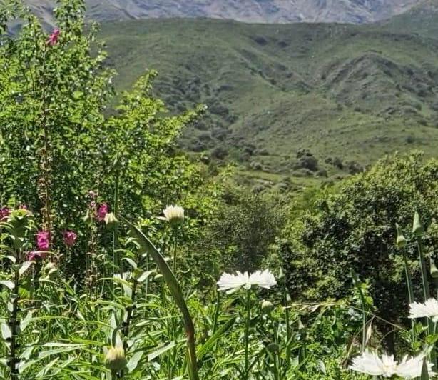 Casa 11 ambientes en Los Hornillos — En Venta Casa de Campo - Vista Imponente en Los Hornillos Traslasierra!! Escritura!! — Venta, foto 6 de 8
