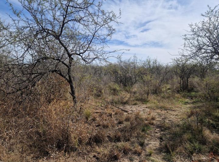 Lote en Cruz de Caña, Traslasierra — Ruta 14 En Venta Terreno 2 Has. Con Pequeño Local en Cruz de Caña, Traslasierra!! — Venta, foto 3 de 8