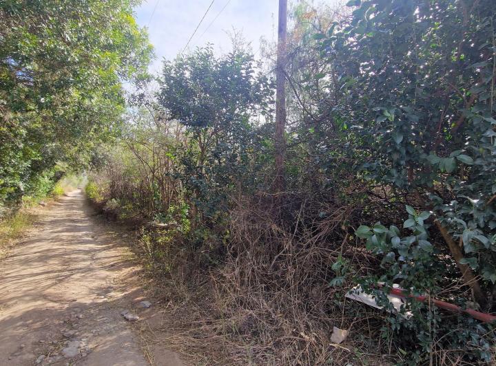 Lote en Cruz de Caña, Traslasierra — Ruta 14 En Venta Terreno 2 Has. Con Pequeño Local en Cruz de Caña, Traslasierra!! — Venta, foto 6 de 8