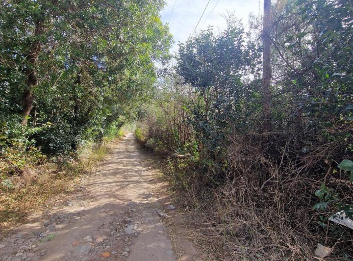 Lote en Cruz de Caña, Traslasierra — Ruta 14 En Venta Terreno 2 Has. Con Pequeño Local en Cruz de Caña, Traslasierra!! — Venta, foto 7 de 8
