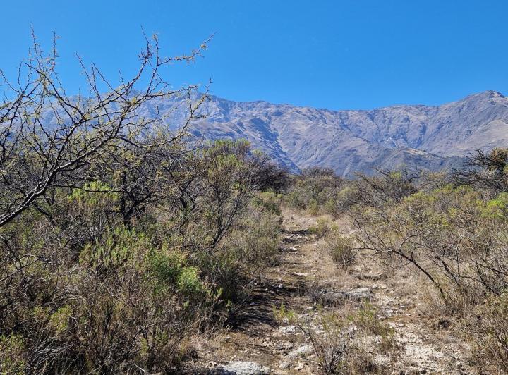 Lote en Achiras Arriba — En Venta los Mejores Terrenos de Achiras Arriba, Traslasierra!! — Venta, foto 2 de 8