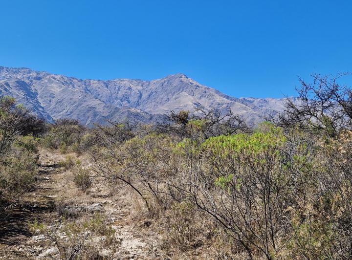 Lote en Achiras Arriba — En Venta los Mejores Terrenos de Achiras Arriba, Traslasierra!! — Venta, foto 5 de 8