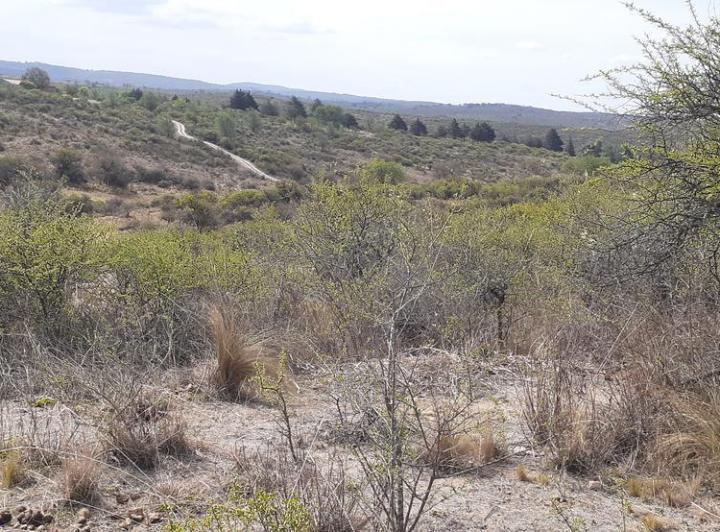 Campo en Villa Parque Siquiman — Sarmiento S/n. Parque Siquiman. Punilla. CBA — Venta, foto 4 de 8
