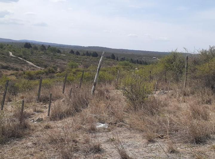 Campo en Villa Parque Siquiman — Sarmiento S/n. Parque Siquiman. Punilla. CBA — Venta, foto 6 de 8