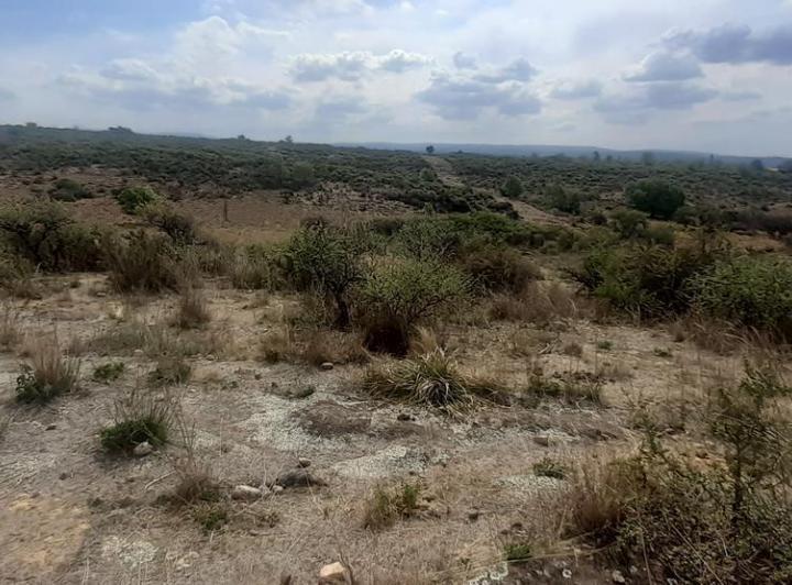 Campo en Villa Parque Siquiman — Sarmiento S/n. Parque Siquiman. Punilla. CBA — Venta, foto 8 de 8