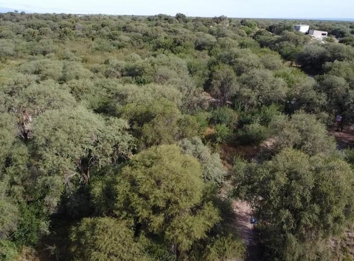 Lote en Las Tapias — En Venta 7,5 Hectáreas , Escritura! Sobre Ruta N20 en Las Tapias, Traslasierra!! — Venta, foto 2 de 8