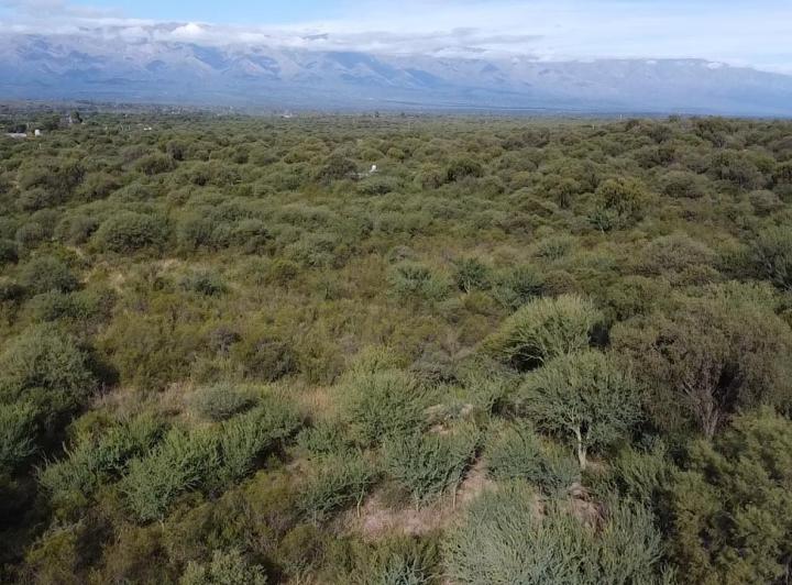 Lote en Las Tapias — En Venta 7,5 Hectáreas , Escritura! Sobre Ruta N20 en Las Tapias, Traslasierra!! — Venta, foto 4 de 8