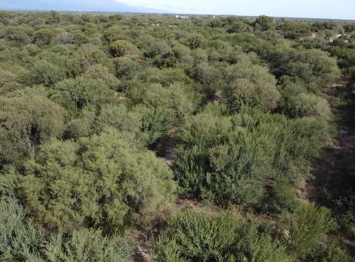 Lote en Las Tapias — En Venta 7,5 Hectáreas , Escritura! Sobre Ruta N20 en Las Tapias, Traslasierra!! — Venta, foto 5 de 8