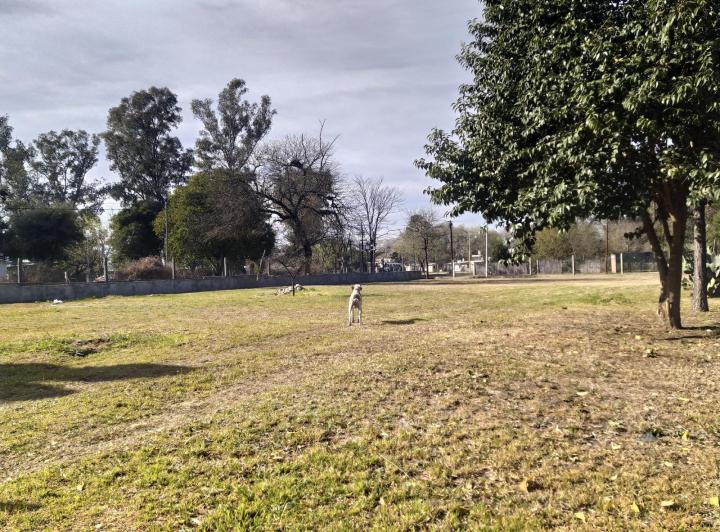 Lote en Anisacate — Gral. Belgrano Esq. Gral. Jose M. Paz - Anisacate - Alta Gracia — Venta, foto 6 de 6
