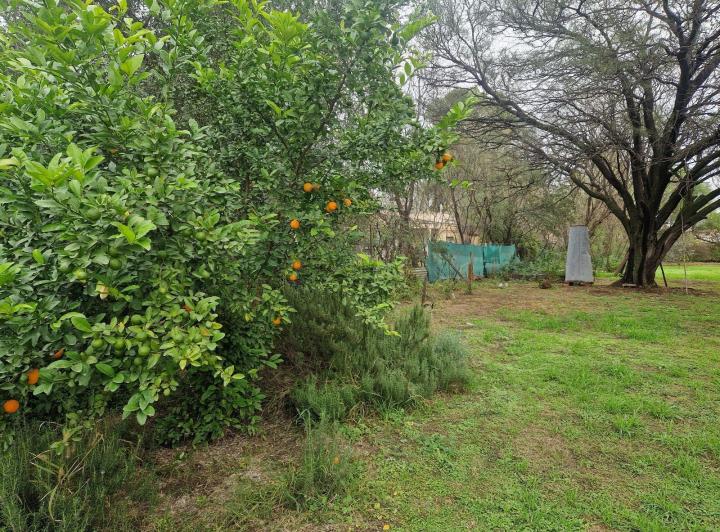 Casa 7 ambientes en Piedra Pintada — Gran Oportunidad! Venta de Casa mas una Cabaña en Piedra Pintada, Villa Dolores, Traslasierra — Venta, foto 3 de 8