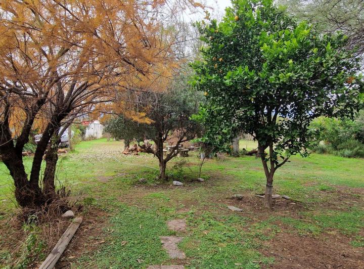 Casa 7 ambientes en Piedra Pintada — Gran Oportunidad! Venta de Casa mas una Cabaña en Piedra Pintada, Villa Dolores, Traslasierra — Venta, foto 6 de 8