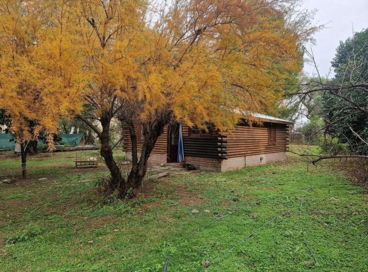 Casa 7 ambientes en Piedra Pintada — Gran Oportunidad! Venta de Casa mas una Cabaña en Piedra Pintada, Villa Dolores, Traslasierra — Venta, foto 7 de 8