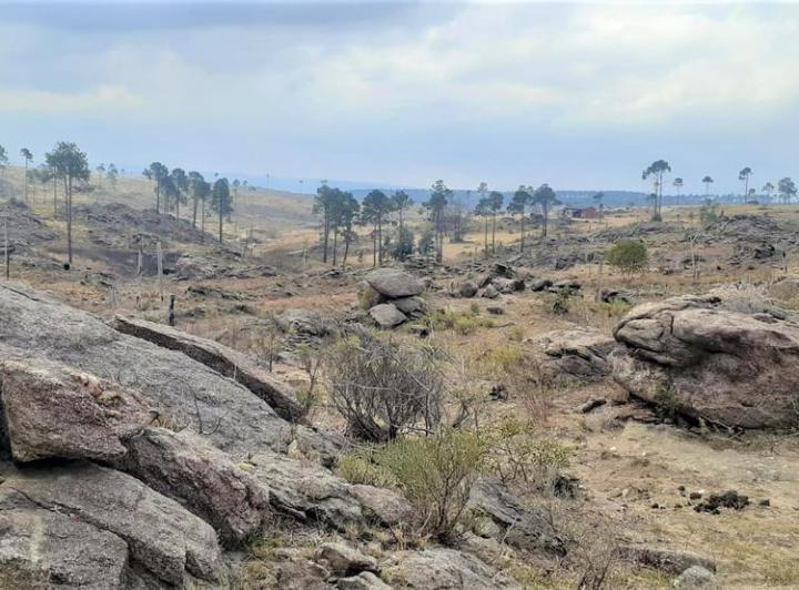 Lote en Villa Yacanto — Yacanto de Calamuchita. CBA — Venta, foto 2 de 8