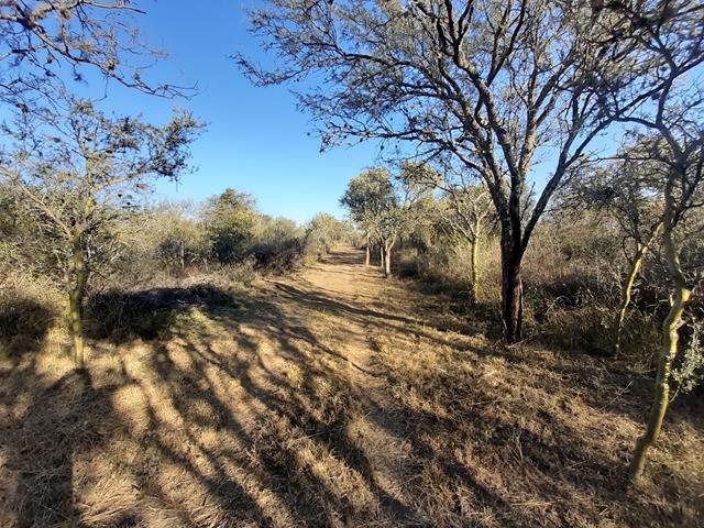 Lote en Yacanto — Belleza de Terrenos en Venta en Yacanto, Traslasierra!! — Venta, foto 2 de 8