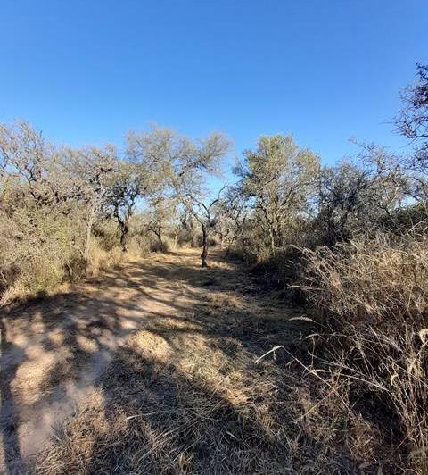 Lote en Yacanto — Belleza de Terrenos en Venta en Yacanto, Traslasierra!! — Venta, foto 3 de 8