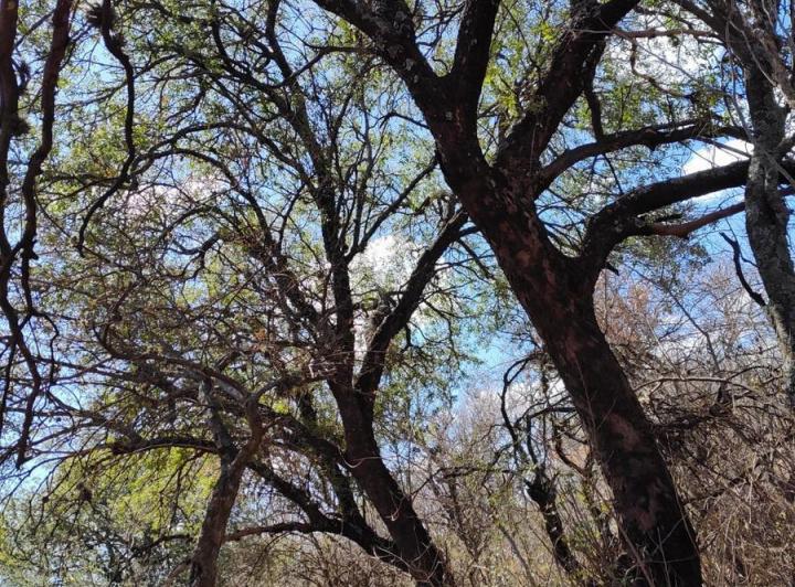 Lote en La Travesía, Traslasierra — Terreno con Escritura en Venta en La Travesia, Traslasierra!! — Venta, foto 1 de 8