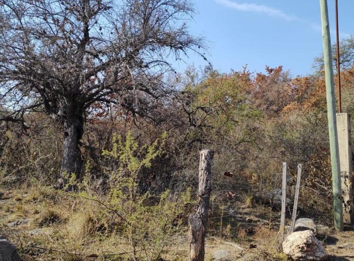 Lote en La Travesía, Traslasierra — Terreno con Escritura en Venta en La Travesia, Traslasierra!! — Venta, foto 2 de 8
