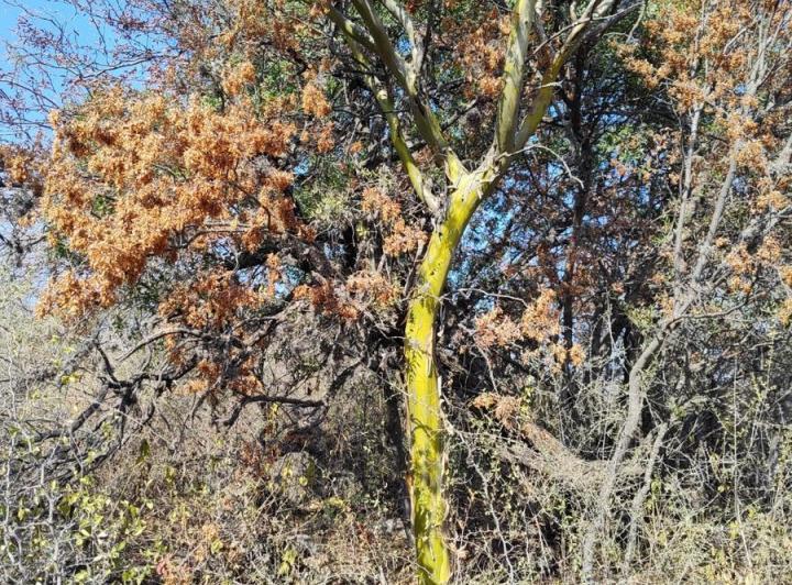 Lote en La Travesía, Traslasierra — Terreno con Escritura en Venta en La Travesia, Traslasierra!! — Venta, foto 3 de 8