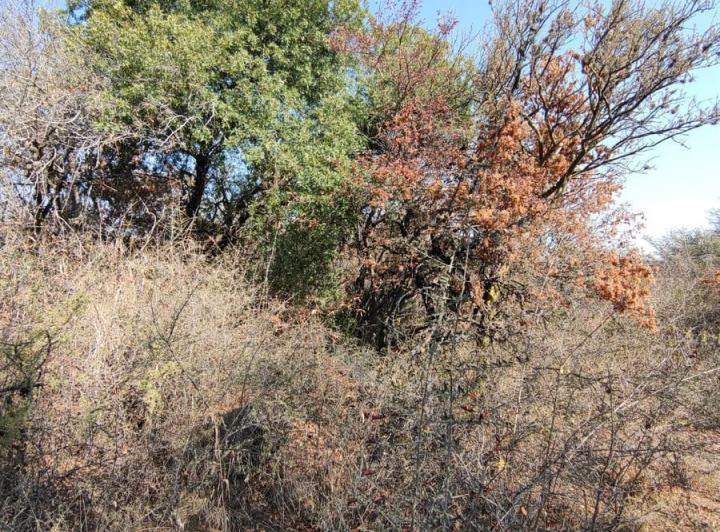Lote en La Travesía, Traslasierra — Terreno con Escritura en Venta en La Travesia, Traslasierra!! — Venta, foto 5 de 8