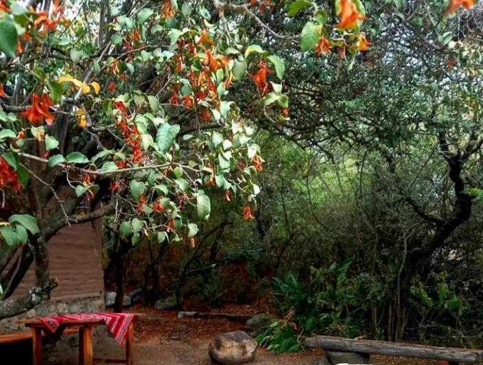 Casa 2 ambientes en San Javier, Córdoba — Casa Rancho, Eco Loft!! en Venta en San Javier, Traslasierra!! — Venta, foto 4 de 8