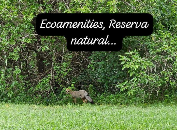 Lote en Tierra Alta — Lote EN Tierra Alta - Financiación — Venta, foto 8 de 8