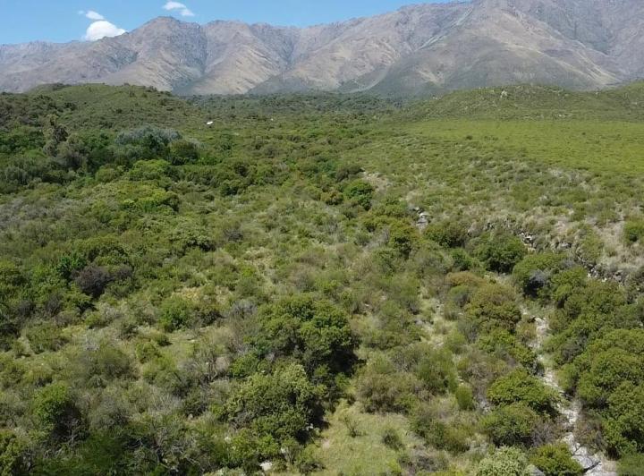 Lote en La Población, Traslasierra — Fabuloso Gran Terreno de 2,6 Hectáreas en La Población, Traslasierra!! — Venta, foto 1 de 8